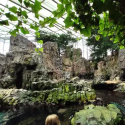 Lisbon Oceanarium (Oceanário de Lisboa) - Lisbon