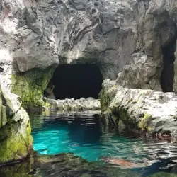 Lisbon Oceanarium (Oceanário de Lisboa) - Lisbon