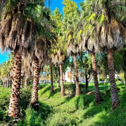 Parque da Cidade de Loures - Loures