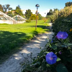 Parque da Ribeira de Sacavém - Loures