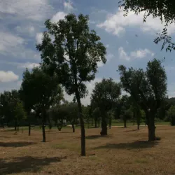 Parque da Ribeira de Sacavém - Loures