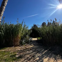 Parque da Ribeira de Sacavém - Loures