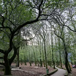 Parque Natural da Serra de Montejunto - Loures