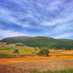 Parque Natural da Serra de Montejunto - Loures