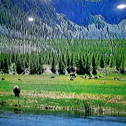 Parque da Cidade de Lousada - Lousada