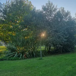 Parque da Cidade de Lousada - Lousada