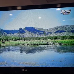 Parque da Cidade de Lousada - Lousada