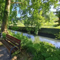 Parque das Termas de São Vicente - Lousada