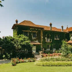 Quinta da Aveleda (nearby) - Lousada