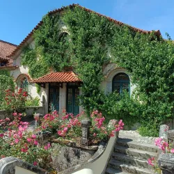 Quinta da Aveleda (nearby) - Lousada