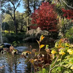 Quinta da Aveleda (nearby) - Lousada