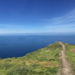 Levada Walks - Madeira