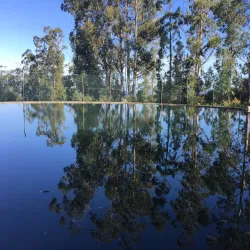 Levada Walks - Madeira