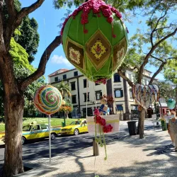 Levada Walks - Madeira
