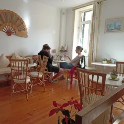 Levada Walks - Madeira