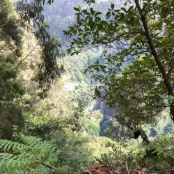 Levada Walks - Madeira