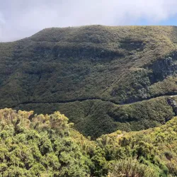 Levada Walks - Madeira