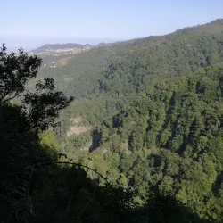 Levada Walks - Madeira