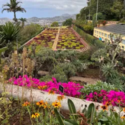 Madeira Botanical Garden (Jardim Botânico) - Madeira