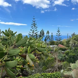 Madeira Botanical Garden (Jardim Botânico) - Madeira