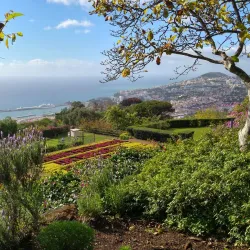 Madeira Botanical Garden (Jardim Botânico) - Madeira