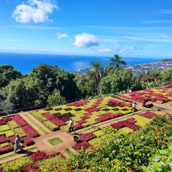 Madeira Botanical Garden (Jardim Botânico) - Madeira