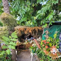 Santana Traditional Houses - Madeira