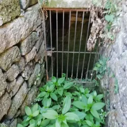 Castro de Águas Santas - Maia