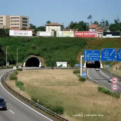 Castro de Águas Santas - Maia