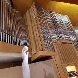 Igreja Matriz de Maia - Maia