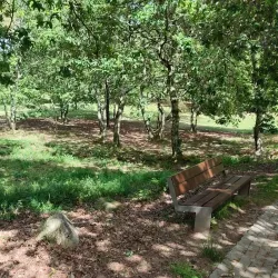 Parque da Senhora da Hora - Maia