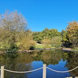 Parque da Senhora da Hora - Maia