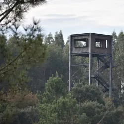 Parque da Senhora da Hora - Maia