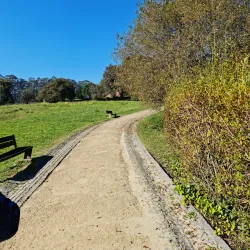 Parque de Avioso - Maia
