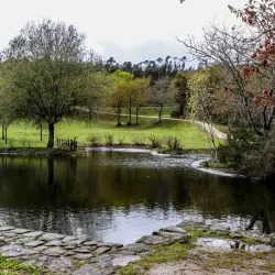 Parque de Avioso - Maia