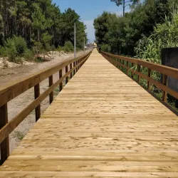 Leiria Pine Forest (Mata Nacional de Leiria) - Marinha Grande