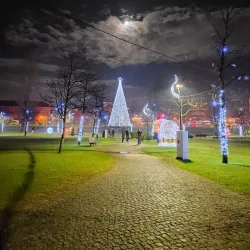 Marinha Grande City Park - Marinha Grande