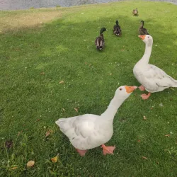Marinha Grande City Park - Marinha Grande