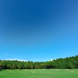 Parque da Cidade do Porto (City Park) - Matosinhos