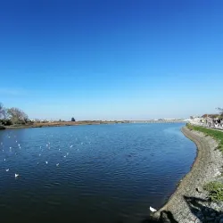 Cais da Moita - Moita