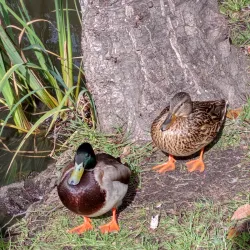 Museu Municipal da Moita - Moita