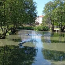 Museu Municipal da Moita - Moita