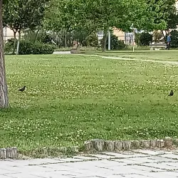 Parque Municipal da Moita - Moita