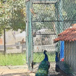 Parque Municipal da Moita - Moita