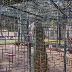 Parque Municipal da Moita - Moita