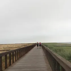 Tagus River Riverside Walks - Moita