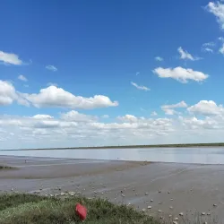 Tagus River Riverside Walks - Moita