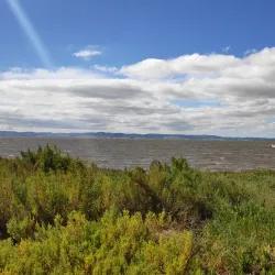 Tagus River Riverside Walks - Moita