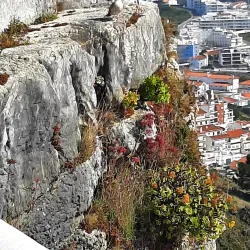 Sítio da Nazaré - Nazaré