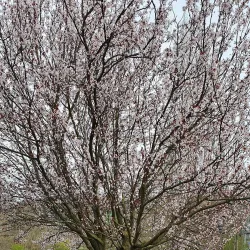 Parque da Cidade de Odivelas - Odivelas